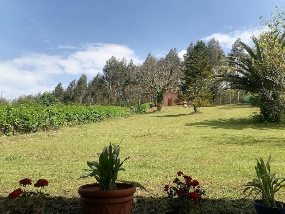 Juncedo La Casa Azul De Lua Un Lugar Magico 빌라 외부 사진