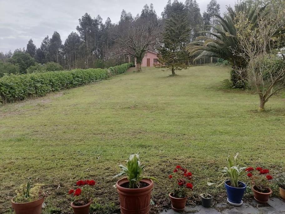 Juncedo La Casa Azul De Lua Un Lugar Magico 빌라 외부 사진