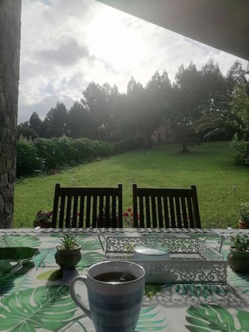 Juncedo La Casa Azul De Lua Un Lugar Magico 빌라 외부 사진