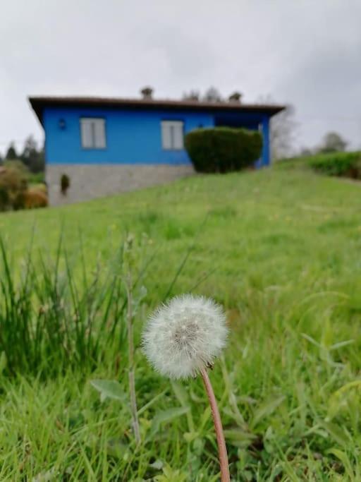 Juncedo La Casa Azul De Lua Un Lugar Magico 빌라 외부 사진